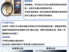 -CGWANG王氏教育(上海校区)