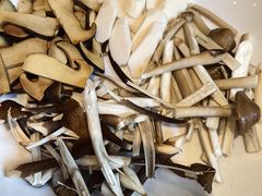 -黔蘑菇四季餐厅(观山湖店)