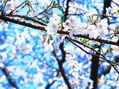 -浙江大学(玉泉校区)