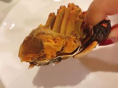 -扬州狮子楼·非遗淮扬菜(东关街店)