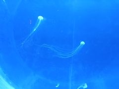 -临沂极地海洋王国