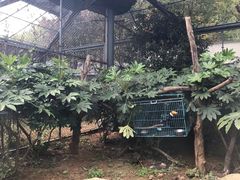 -苏州上方山国家森林公园