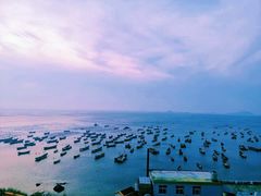-枸杞岛