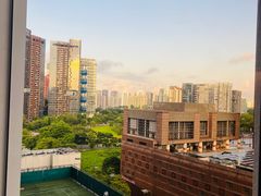 -新加坡乌节希尔顿酒店 (SG Clean)