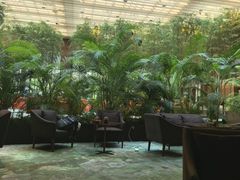 -北京望京凯悦酒店The Lounge大堂酒廊