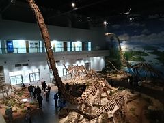 -自贡恐龙博物馆