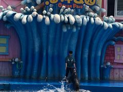 -华夏文旅海洋公园