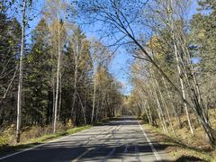 -五营红松林海景区