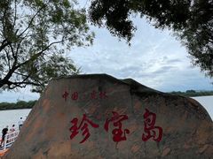 -珍宝岛