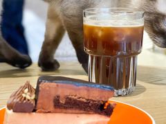 -藏猫猫咖啡主题馆(中央大道店)