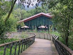 -西湖风景区-江洋畈生态公园