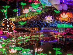 -国色天乡三期陆地乐园