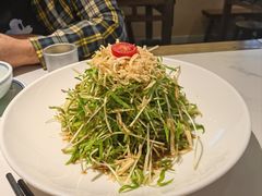 空心菜苗-打酱油·非遗淮扬菜(瘦西湖梅岭店)