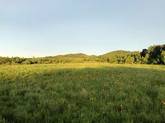 景点太阳湖金莲-塞罕坝国家级自然保护区