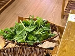 豌豆尖-阿婆情腊排骨火锅(饮玉巷店)