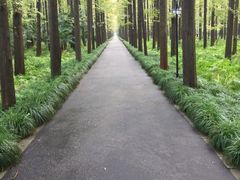 -上海怡沁园度假酒店