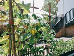 -黄山老妈·土菜(碧桂园店)