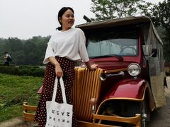 -大塘金香草谷