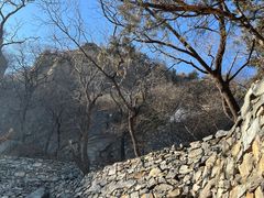 -北京鹫峰国家森林公园