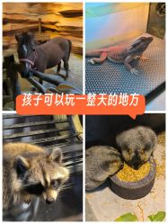 -酷嗒动物文化乐园(cutezoo西溪乐天城店)