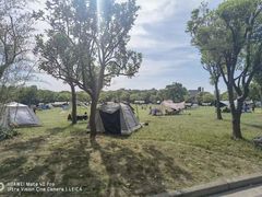 -上海吴淞炮台湾国家湿地公园