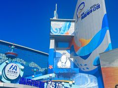 -海合安青岛极地海洋公园