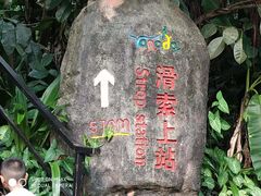 -呀诺达热带雨林