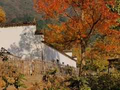 -塔川景区