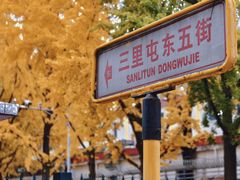 -三里屯东五街银杏大道