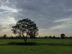 -汉长安城未央宫国家考古遗址公园