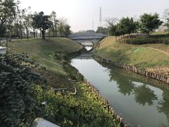 -王借岗森林公园