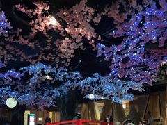 -蓝鲸湾汤泉(包河店)