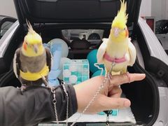 -蔚来体验中心(北京亦庄店)