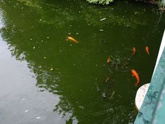 -九龙公园