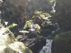 -藏龙百瀑风景区