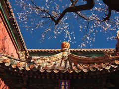 -故宫博物院(故宫)