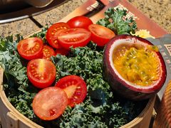 -菌彩云南野生菌火锅(新亚洲店)