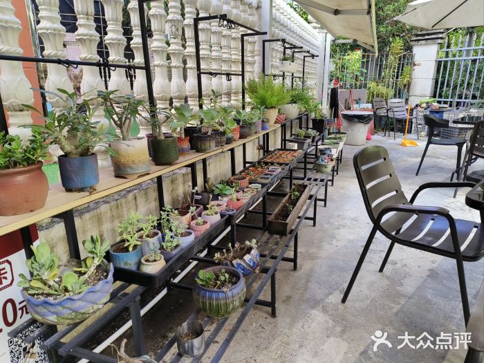 旧屋咖啡(海景店)图片