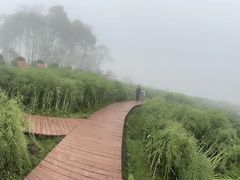 -广州市石门国家森林公园