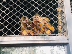 -长白岛森林公园