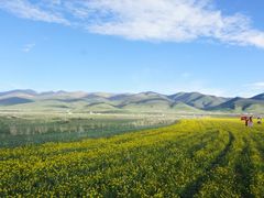 -青海湖国家重点风景名胜区