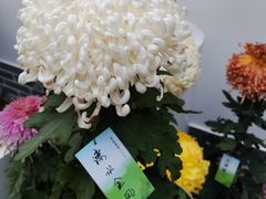 -中山公园