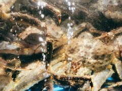 -蟹之国·精品蟹料理(极地店)