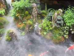 -唐河王记·南阳民间菜(国基路店)