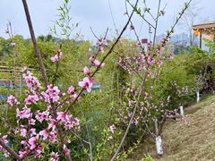 -茅草房·河畔园林火锅