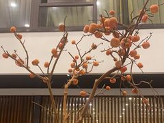 -饭怕鱼(阳光100店)