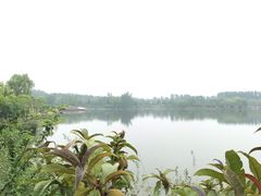 -东郊湿地公园