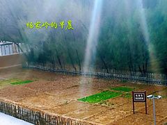 -延安杨家岭革命旧址