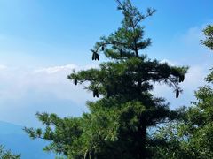 -泰山风景名胜区