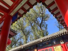 -中卫御苑福膳·养生局(圆明园店)